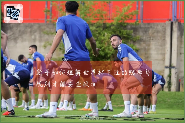 新手如何理解世界杯下注的赔率与规则才能安全投注